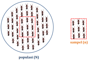 Populasi+Sampel